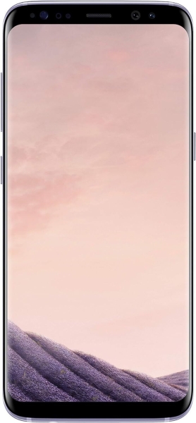 Samsung Galaxy S8 Smartphone 5,8 Zoll 64 GB Orchid Grey „gebraucht“