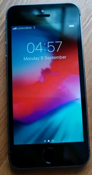 Apple iPhone A1457 5s 16GB Smartphone – Space Grau – (entsperrt)